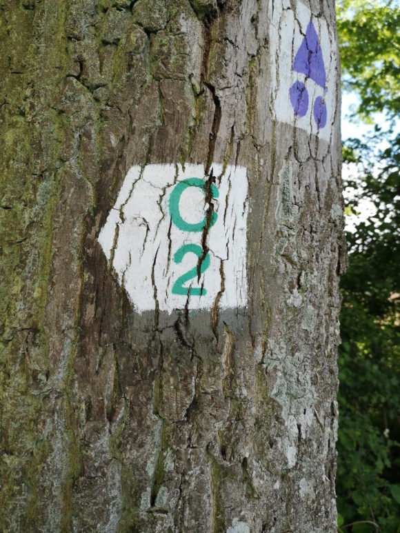 Dieses Bild hat ein leeres alt-Attribut; sein Dateiname ist consdorf-c2-5.jpg