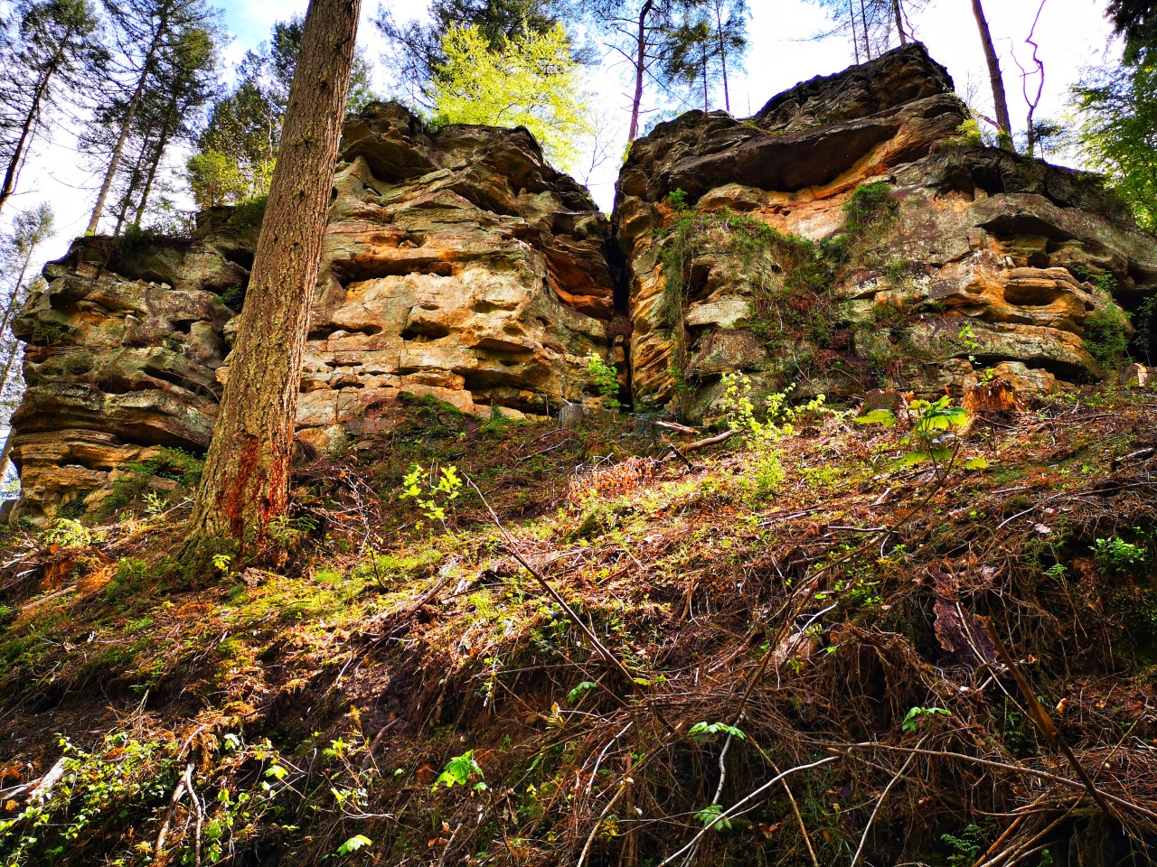 Mehr über den Artikel erfahren Consdorf – C1 – 2km