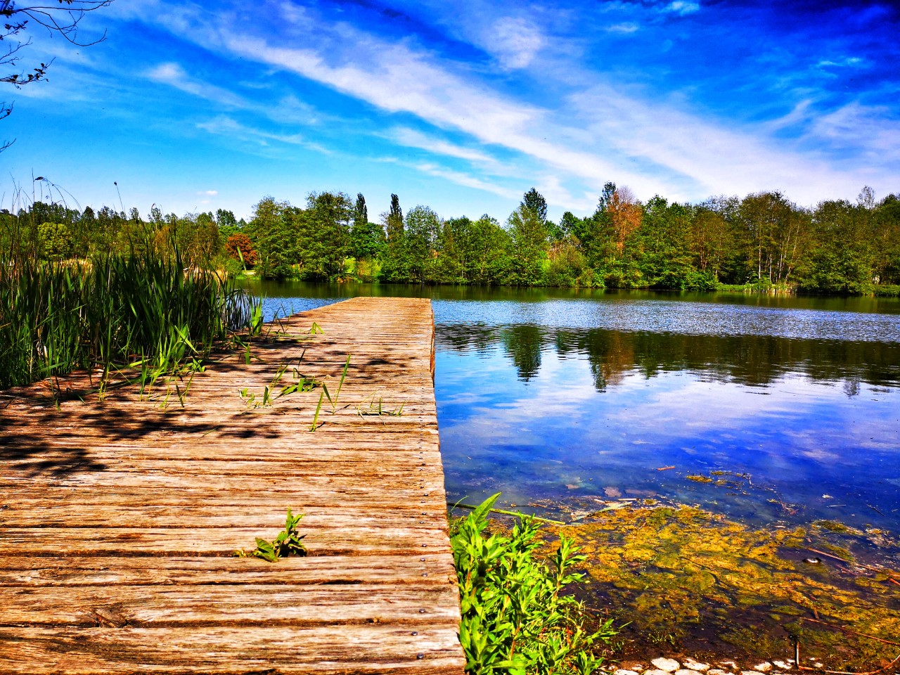 Mehr über den Artikel erfahren Echternach – Komfort-Wanderweg – See – 3,3km