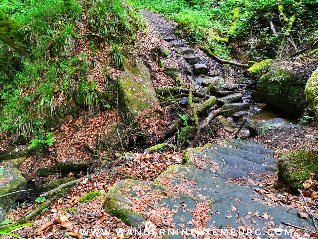 Mehr über den Artikel erfahren Dillingen – B18 – 4,8km