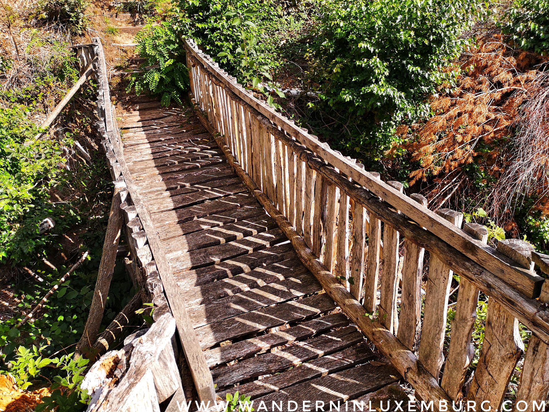Mehr über den Artikel erfahren Heffingen – H2 – 5,9km