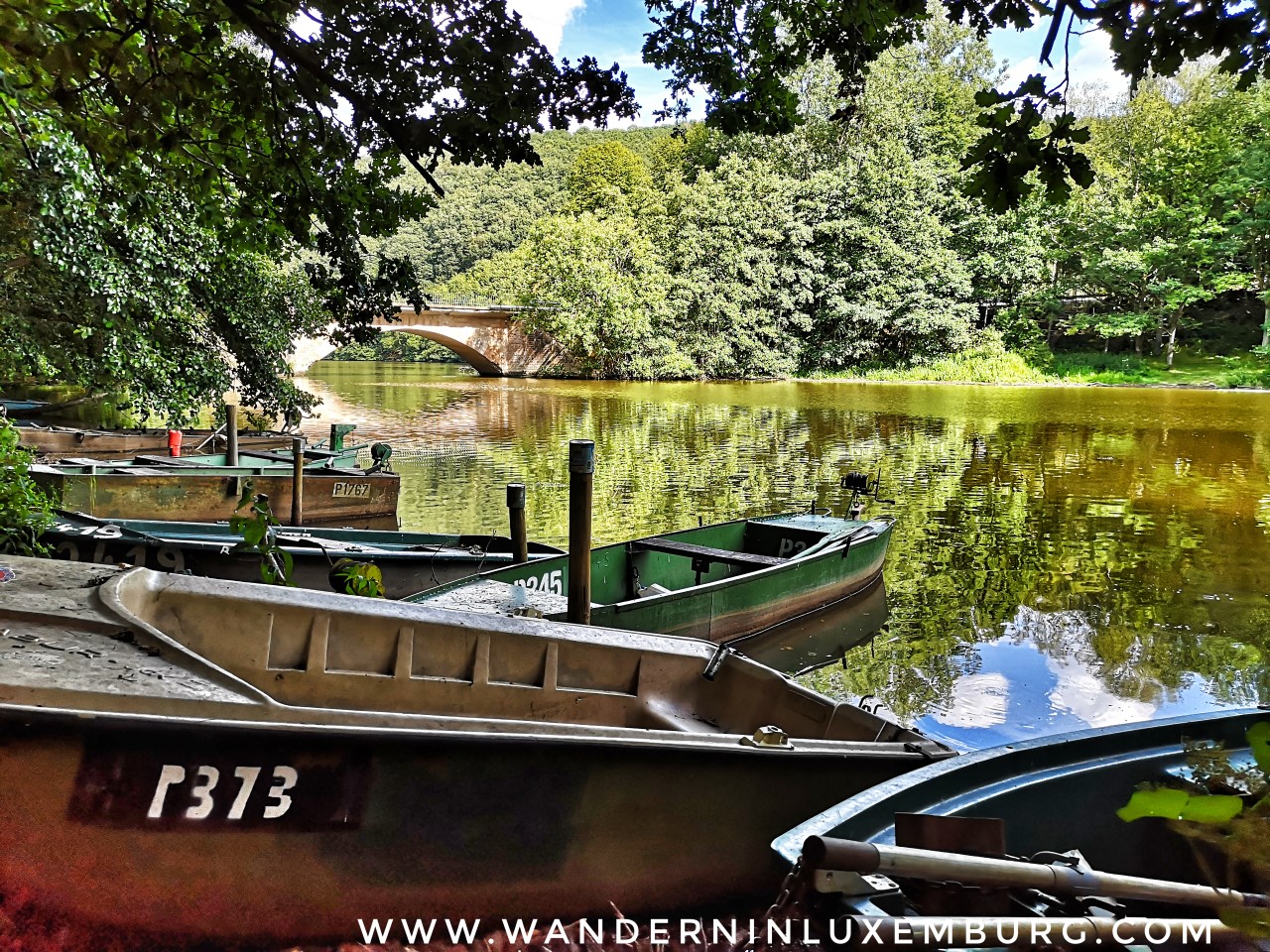 Mehr über den Artikel erfahren Bauschleiden/Arsdorf – Naturpur- Misärsbreck – 7,6km