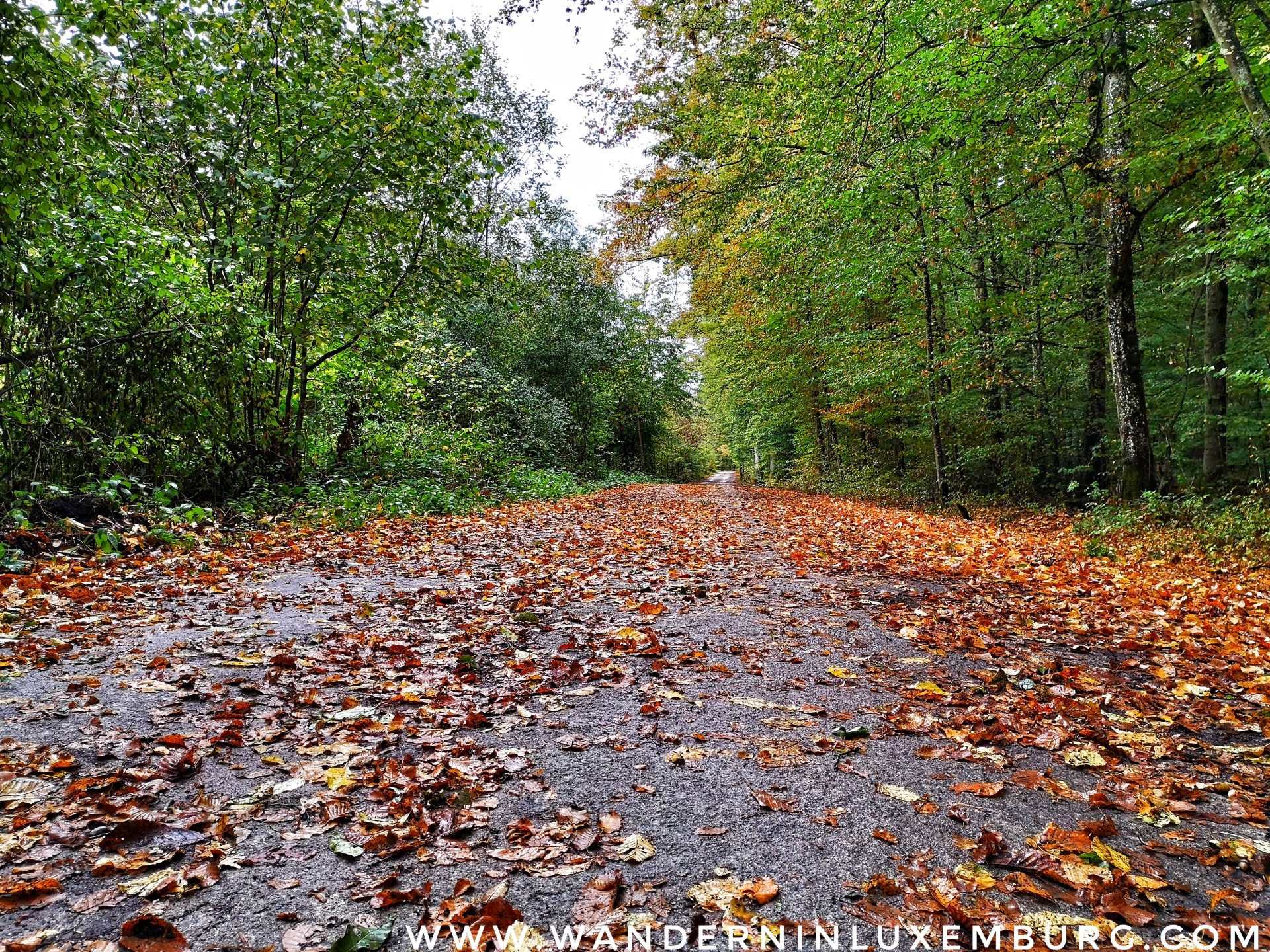 Mehr über den Artikel erfahren Bertrange – Autopedestre – 7,40km