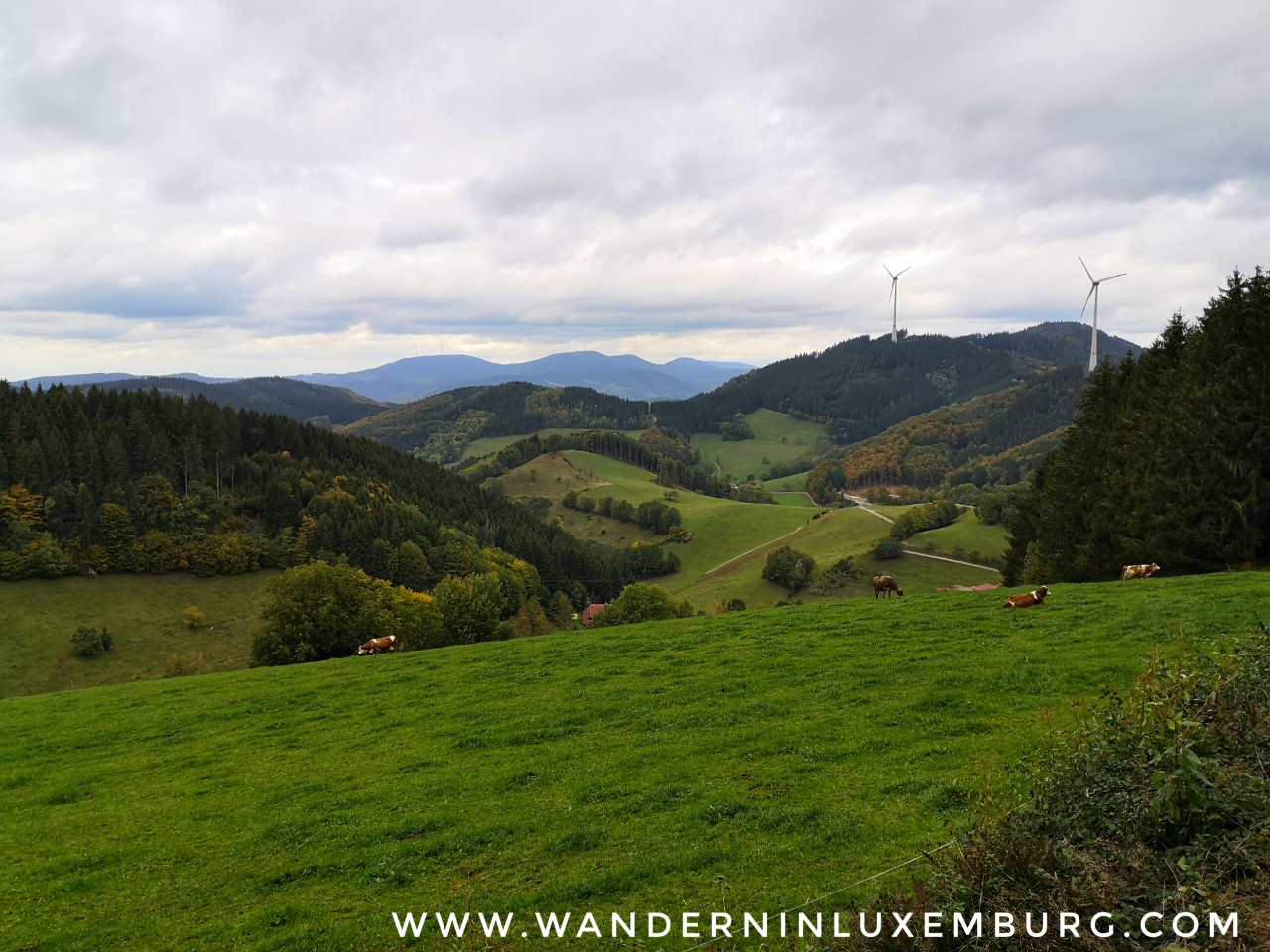 Energiepfad Prechtaler Schanze – 6km