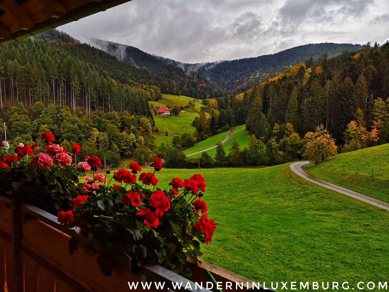 Stinneshof Oberharmersbach