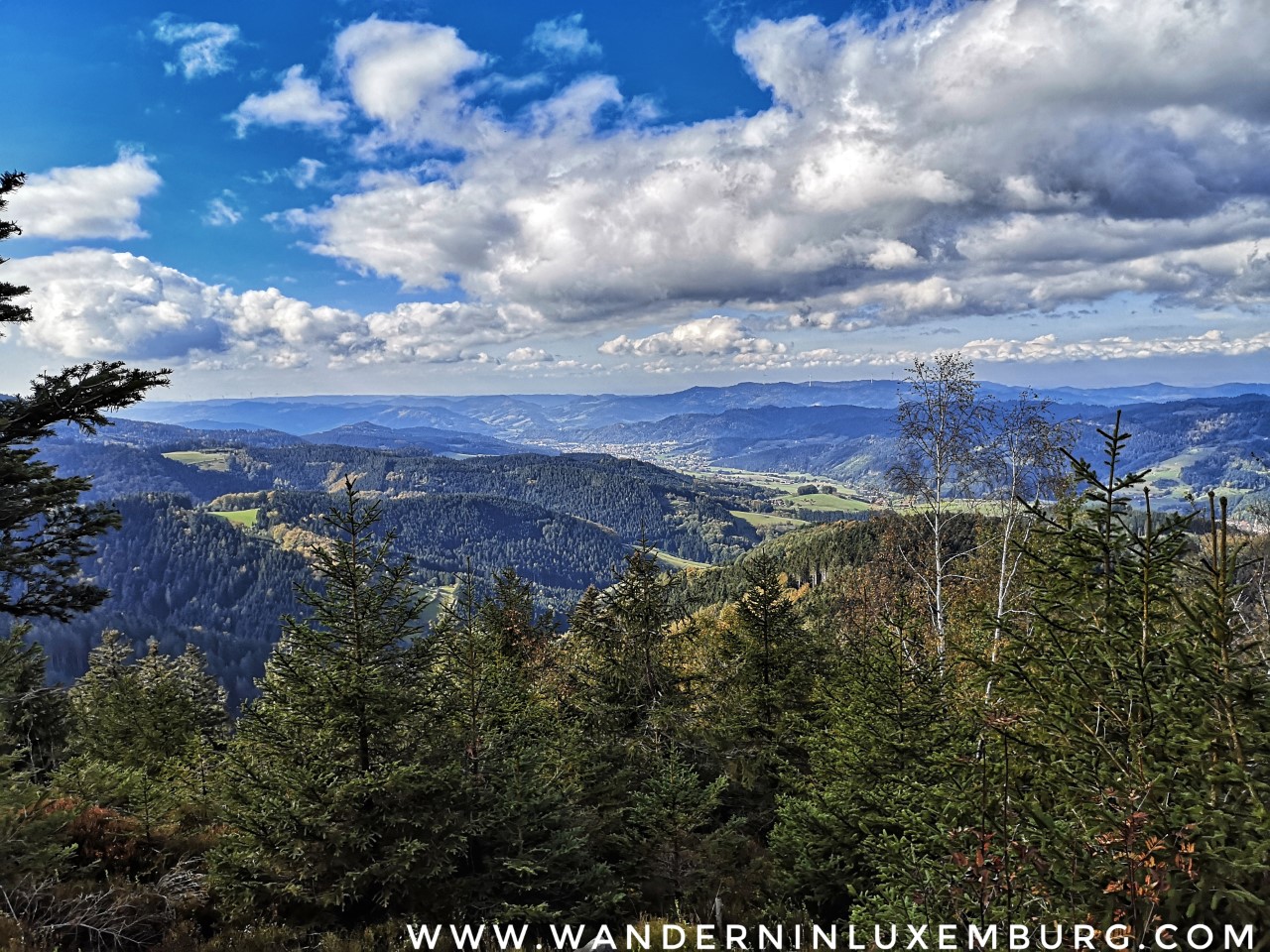 Oberharmersbach – Runde Vogesenblick