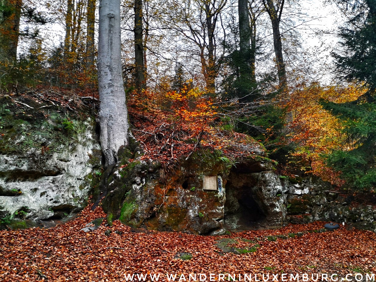 Grünewald – Schetzel