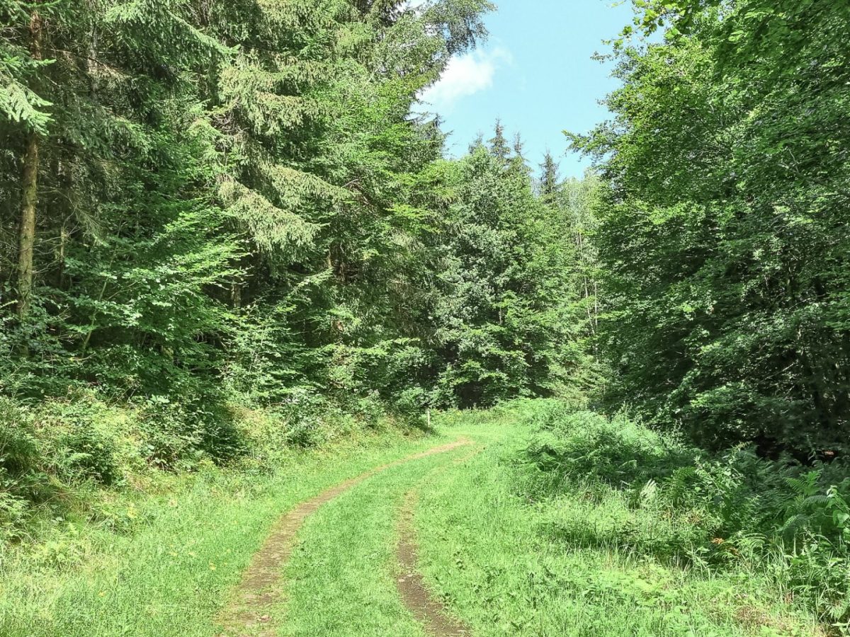 Senningerberg – Autopedestre – 11,5km