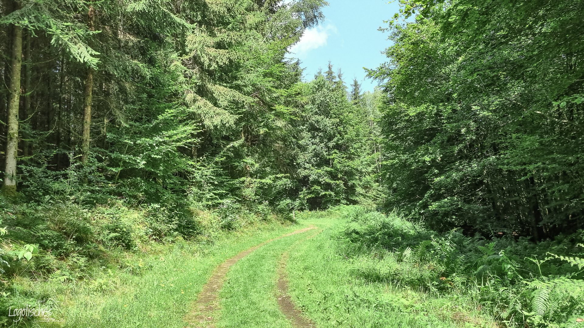 Mehr über den Artikel erfahren Senningerberg – Autopedestre – 11,5km