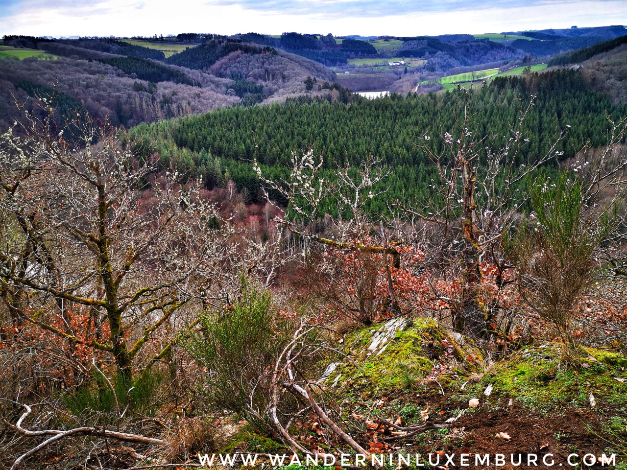 Mehr über den Artikel erfahren Arsdorf – Autopedestre – 11km