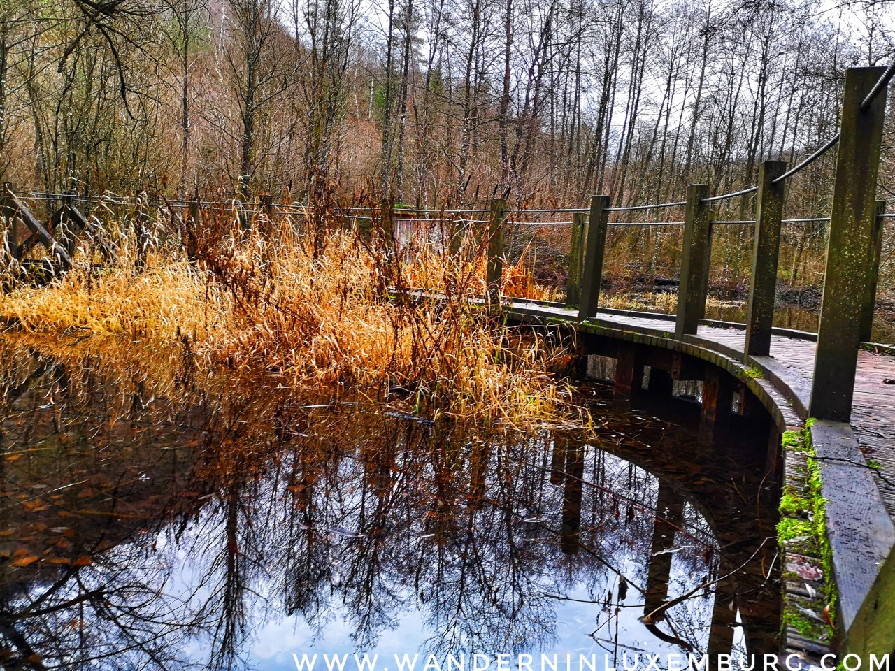 Mehr über den Artikel erfahren Lasauvage – Sentier de la crosnière – 3km