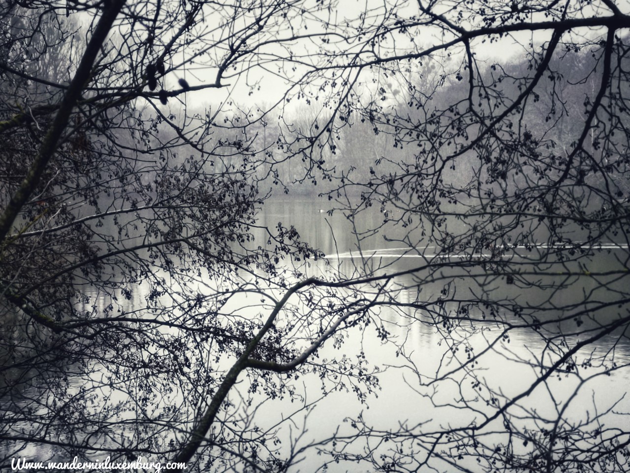 Mehr über den Artikel erfahren Cessange – Autopedestre – 8,8km