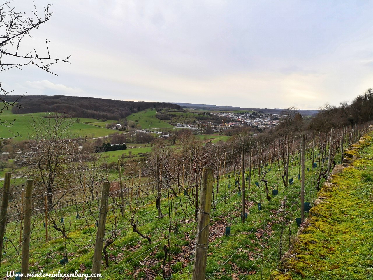 Mehr über den Artikel erfahren Canach – Autopedestre – 12,8km