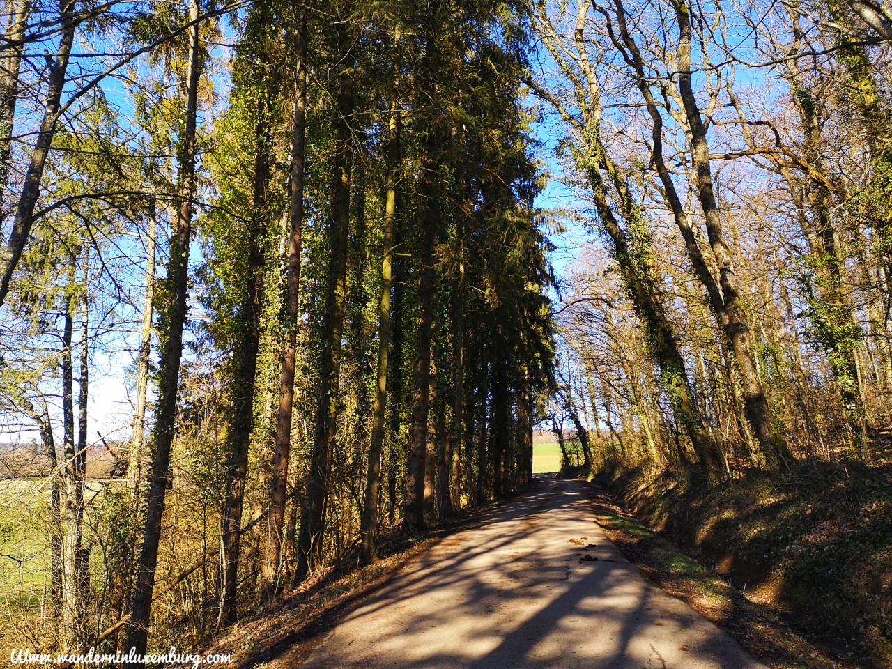 Mehr über den Artikel erfahren Bergem – Autopedestre – 8km