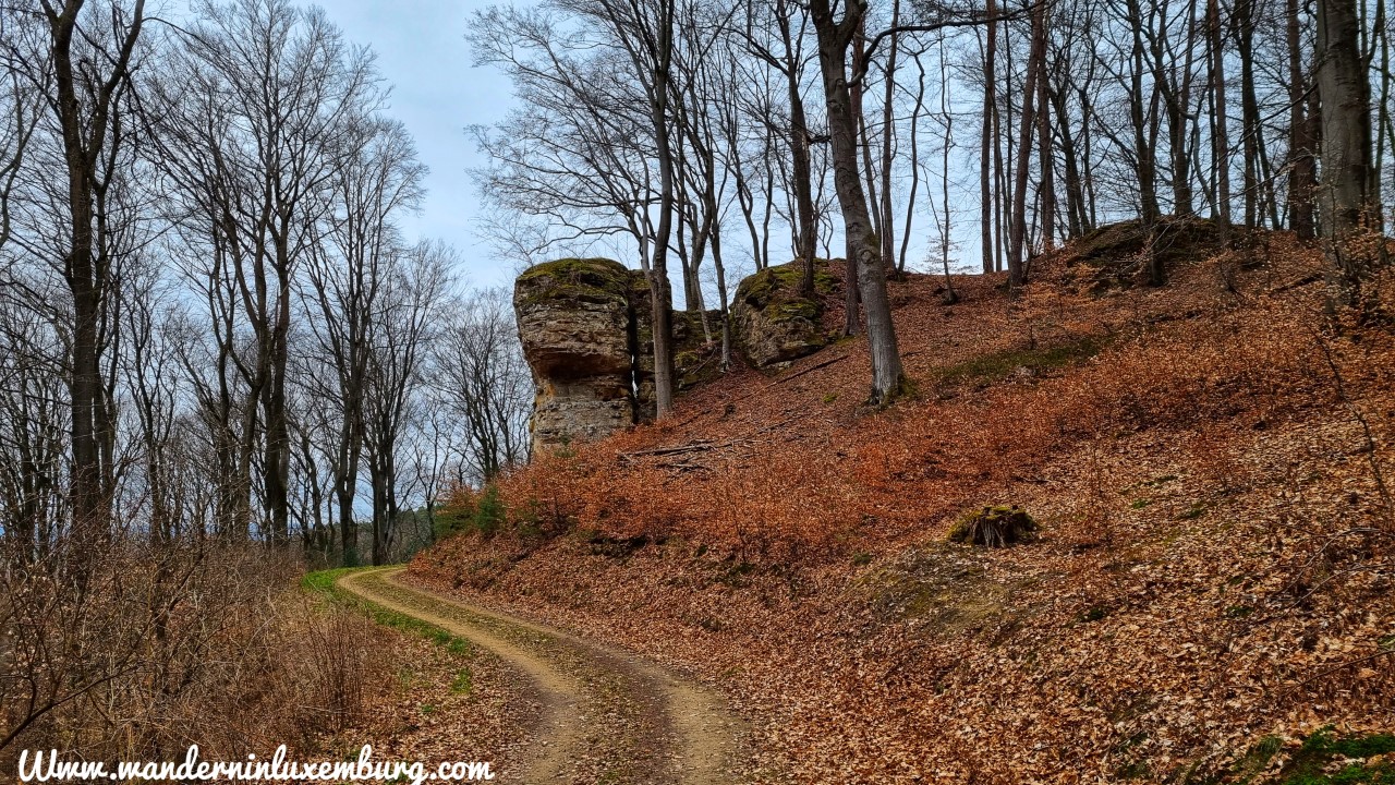 Mehr über den Artikel erfahren Beringen – Autopedestre – 6km