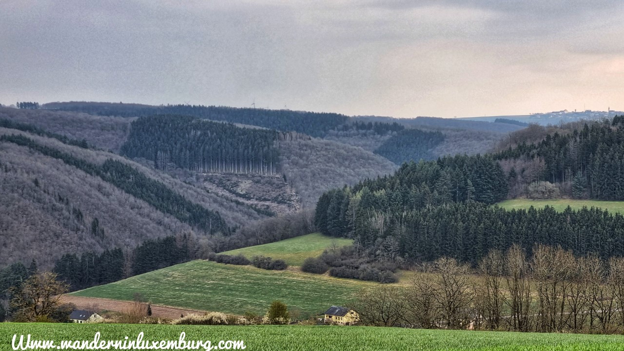 Mehr über den Artikel erfahren Büderscheid – Autopedestre – 4,6km