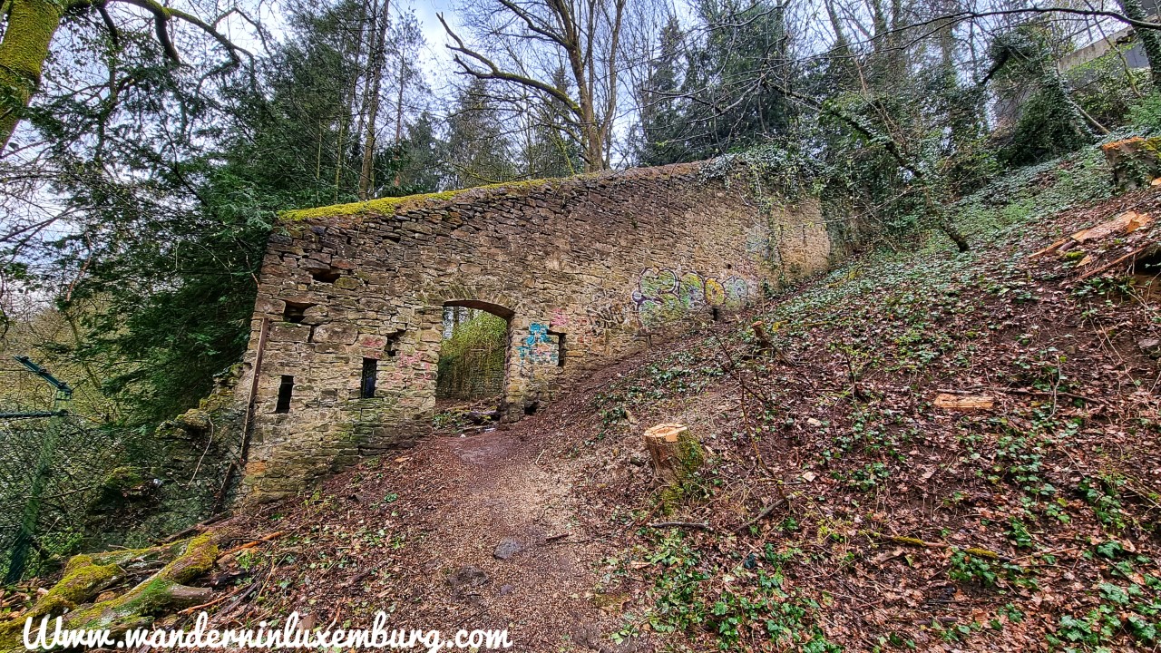 Mehr über den Artikel erfahren Bonnevoie – Autopedestre – 8,72km