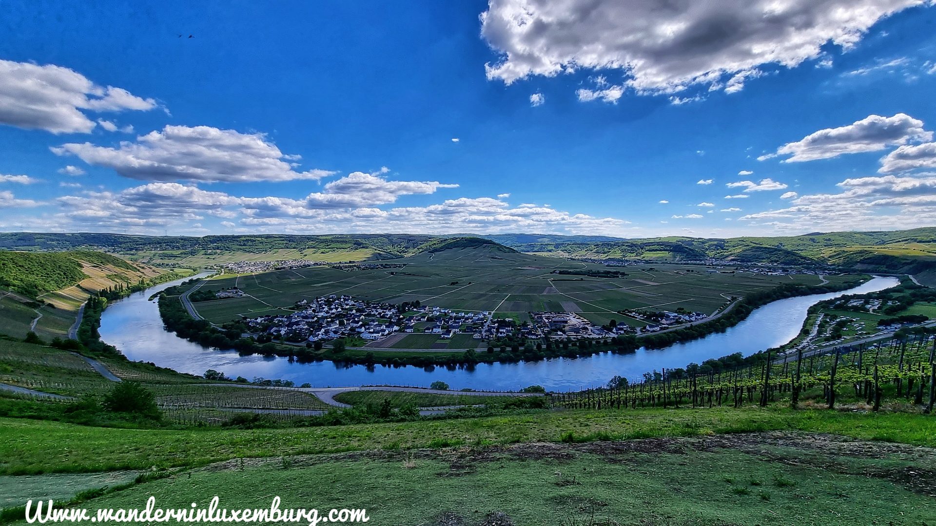 Mehr über den Artikel erfahren (D) Klüsserath Sagenweg – Moselsteig Seitensprung – 13km