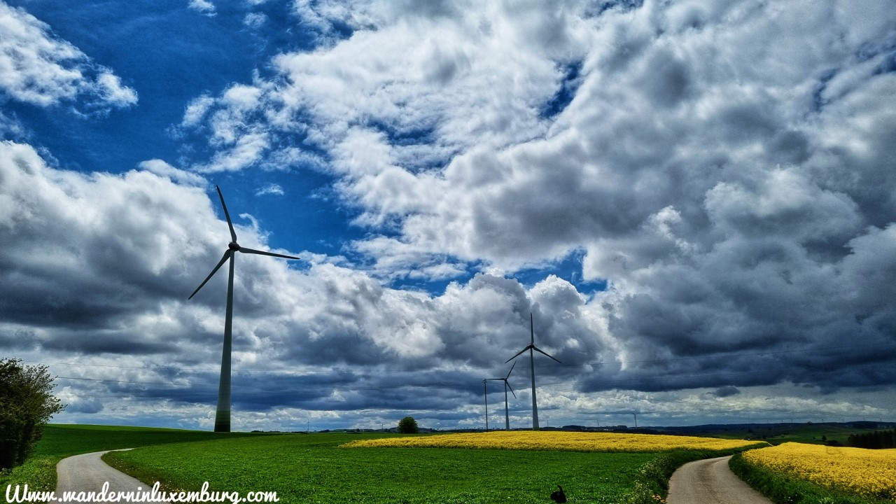 Mehr über den Artikel erfahren Binsfeld – Autopedestre – 9km