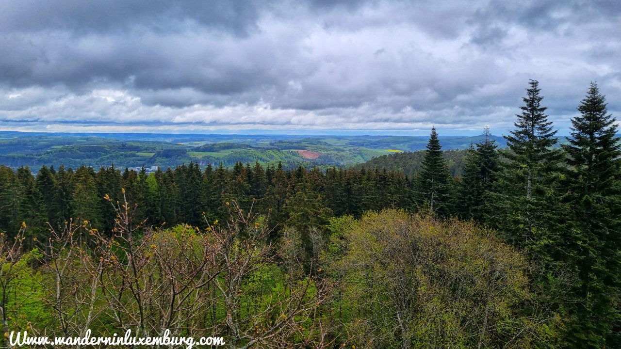 Mehr über den Artikel erfahren (D) Gerolstein – Felsenpfad & Keltenpfad – 8,2km&6,8km