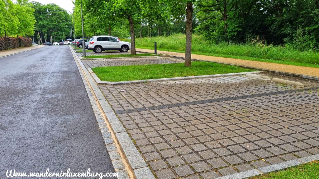 Dieses Bild hat ein leeres alt-Attribut; sein Dateiname ist 20210627_142010-01-1.jpeg