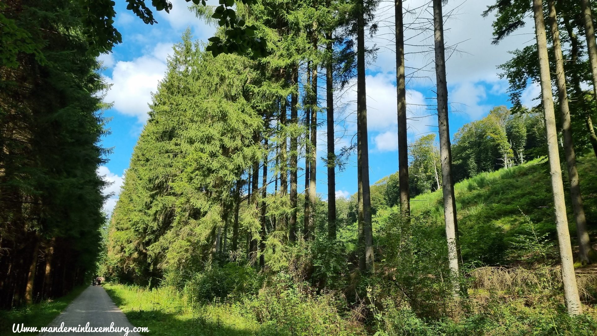 Mehr über den Artikel erfahren Elvange – Autopedestre – 9,07km