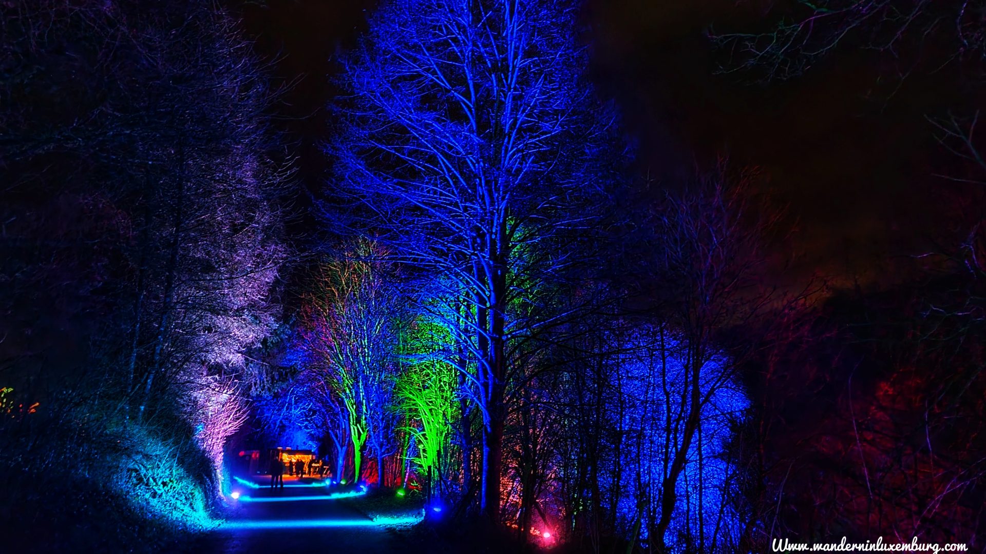 Mehr über den Artikel erfahren Wine Lights Enjoy 2021