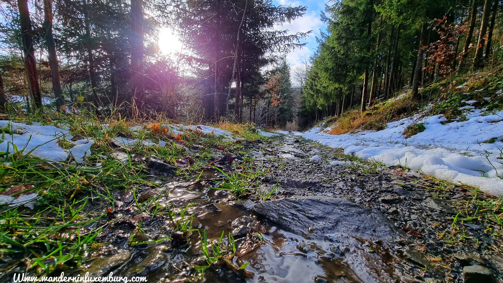 Mehr über den Artikel erfahren Weiswampach – Autopedestre – 8,4km