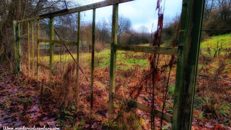 Mehr über den Artikel erfahren Eischen – Autopedestre – 7,8km