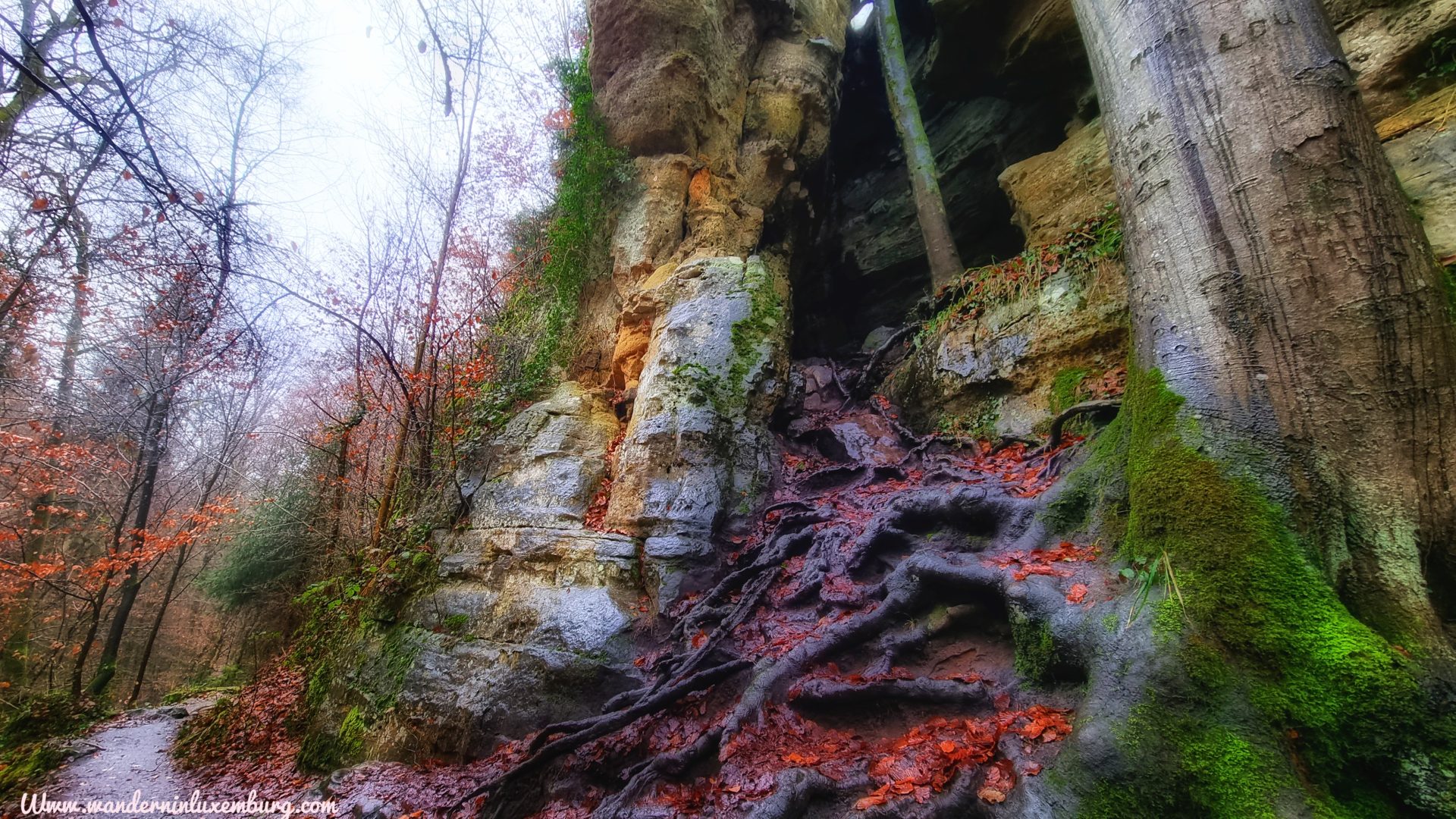 Mehr über den Artikel erfahren Consdorf – C2 – 5km