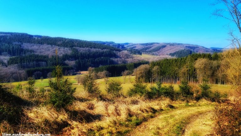 Mehr über den Artikel erfahren Winseler – Autopedestre – 9,9km