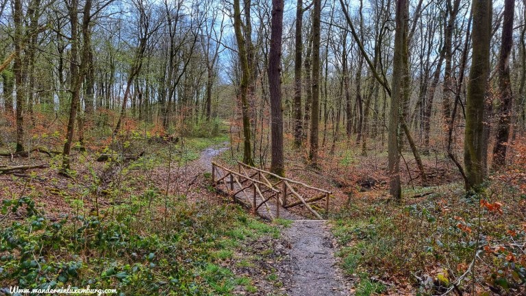 Mehr über den Artikel erfahren Stegen – E8 – 6,5km