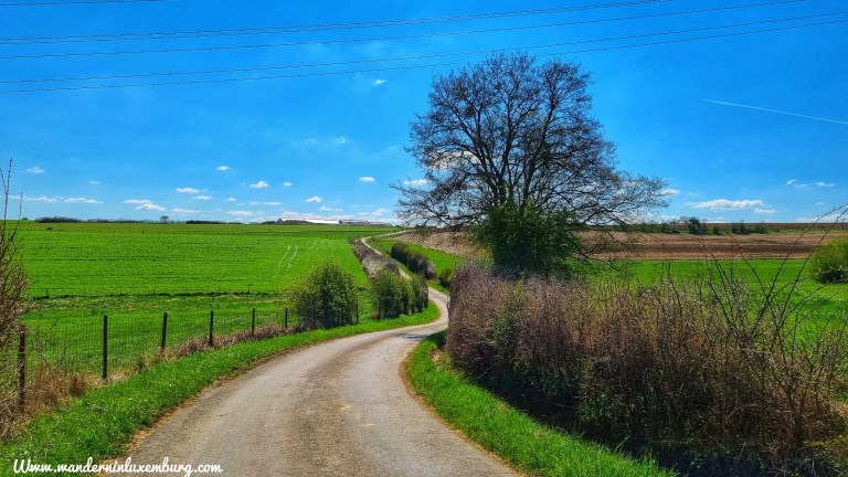 Mehr über den Artikel erfahren Haller – W1 – 6,9km