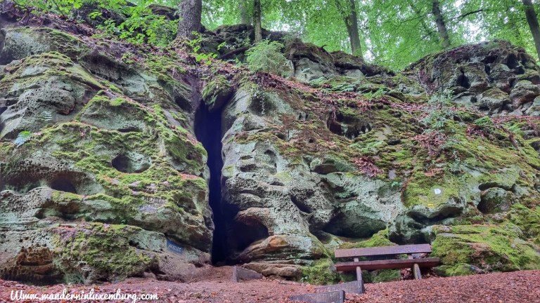 Mehr über den Artikel erfahren Nommern – N1 – 4,6km