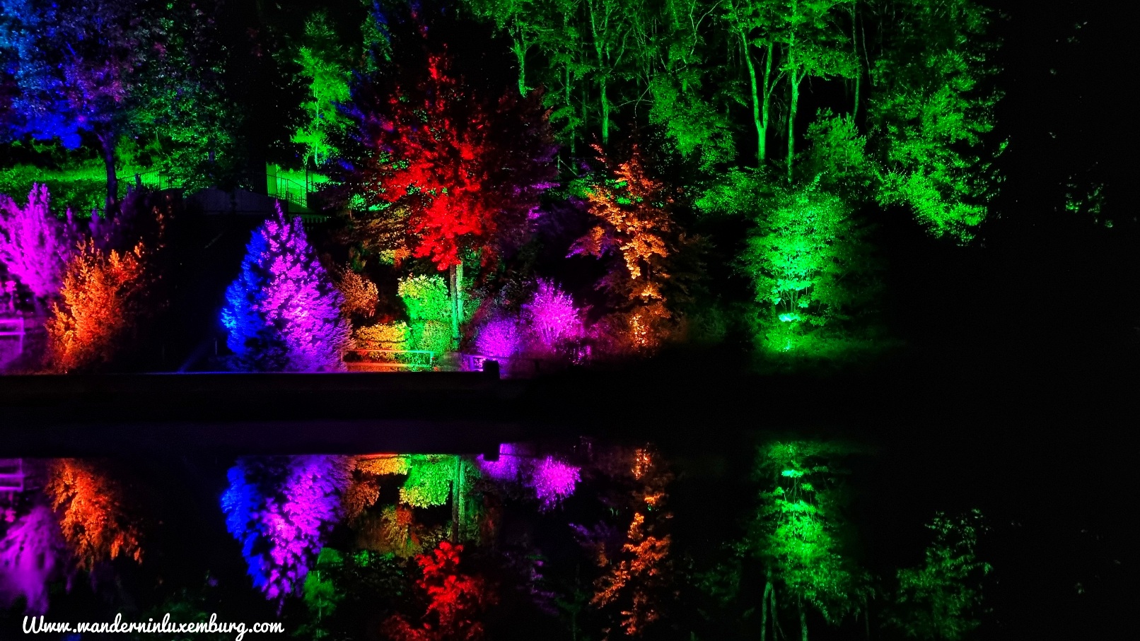 Mehr über den Artikel erfahren Eifelpark Leuchten