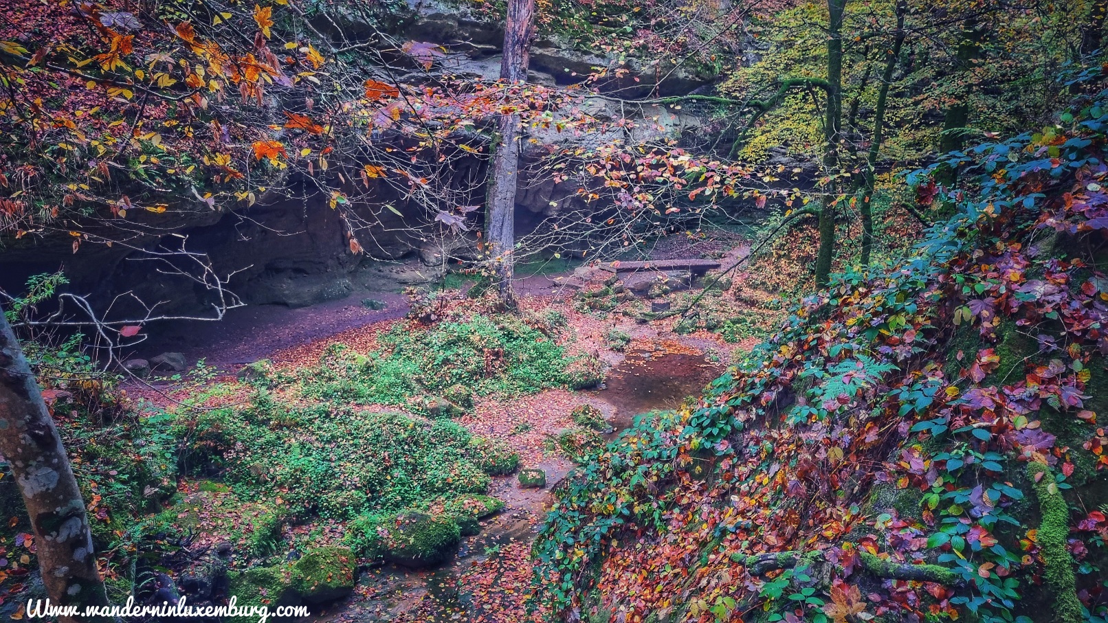 Mehr über den Artikel erfahren Berdorf – B11 – 3,1km