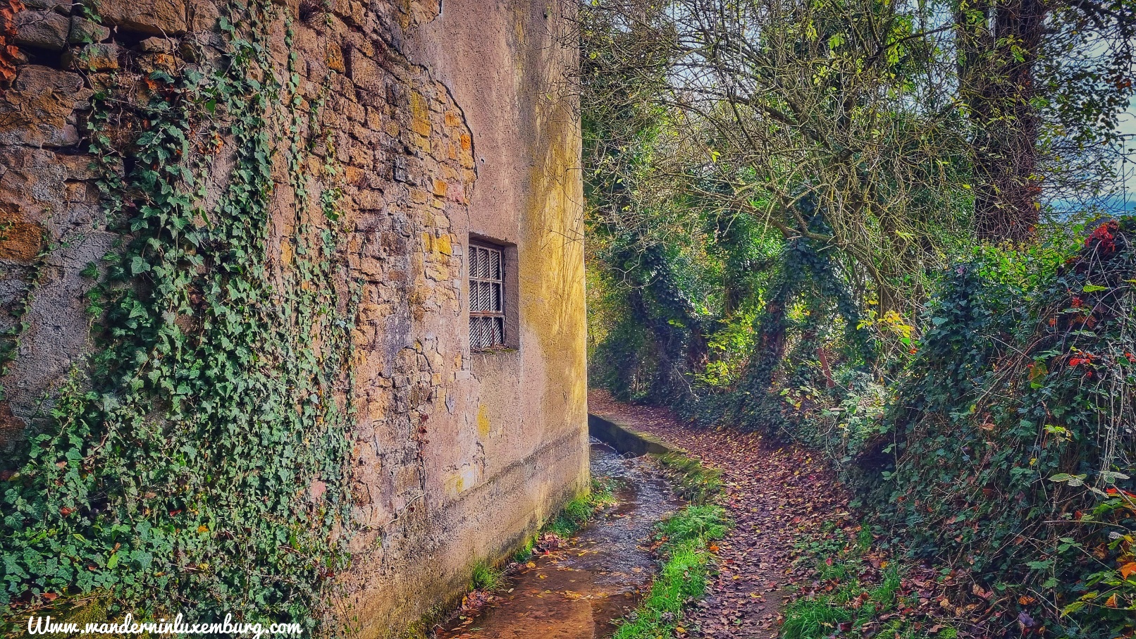 Mehr über den Artikel erfahren Bech – B6 – 5km