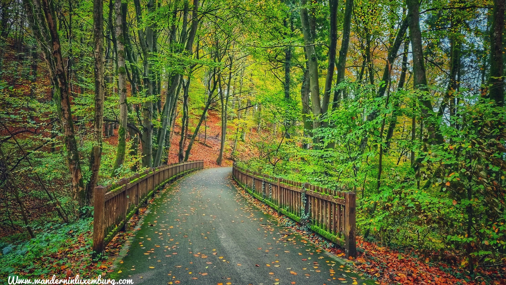 Mehr über den Artikel erfahren Hostert – Nature, Kultur und Geschichte – 8km