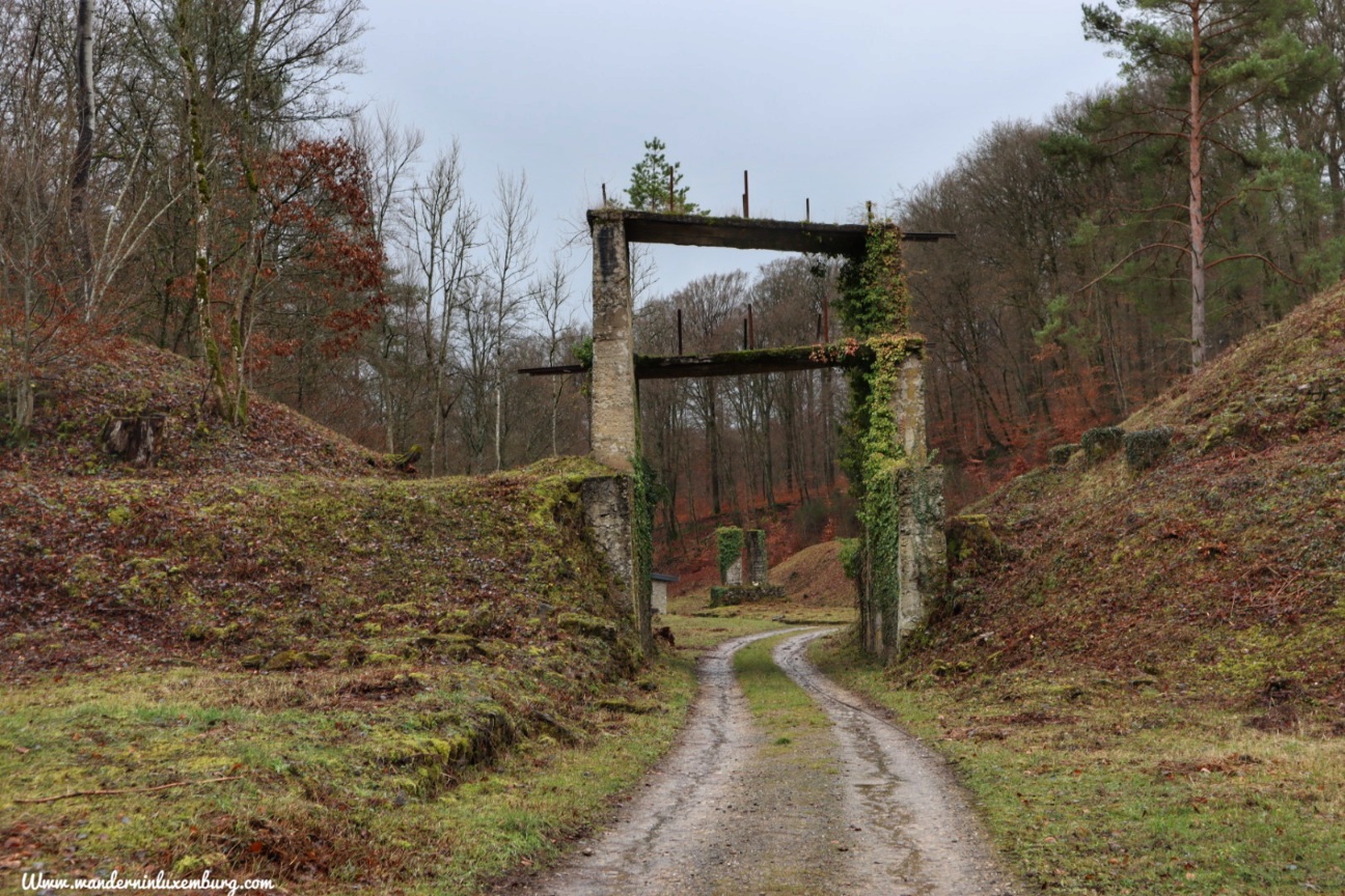 Mehr über den Artikel erfahren Gilsdorf – Eislek Pad – 8km