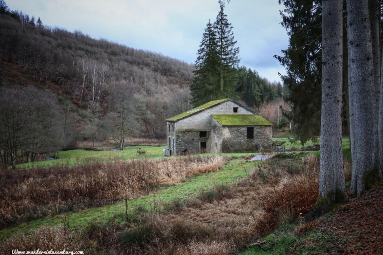 Mehr über den Artikel erfahren Harlange – Autopedestre – 8,6km