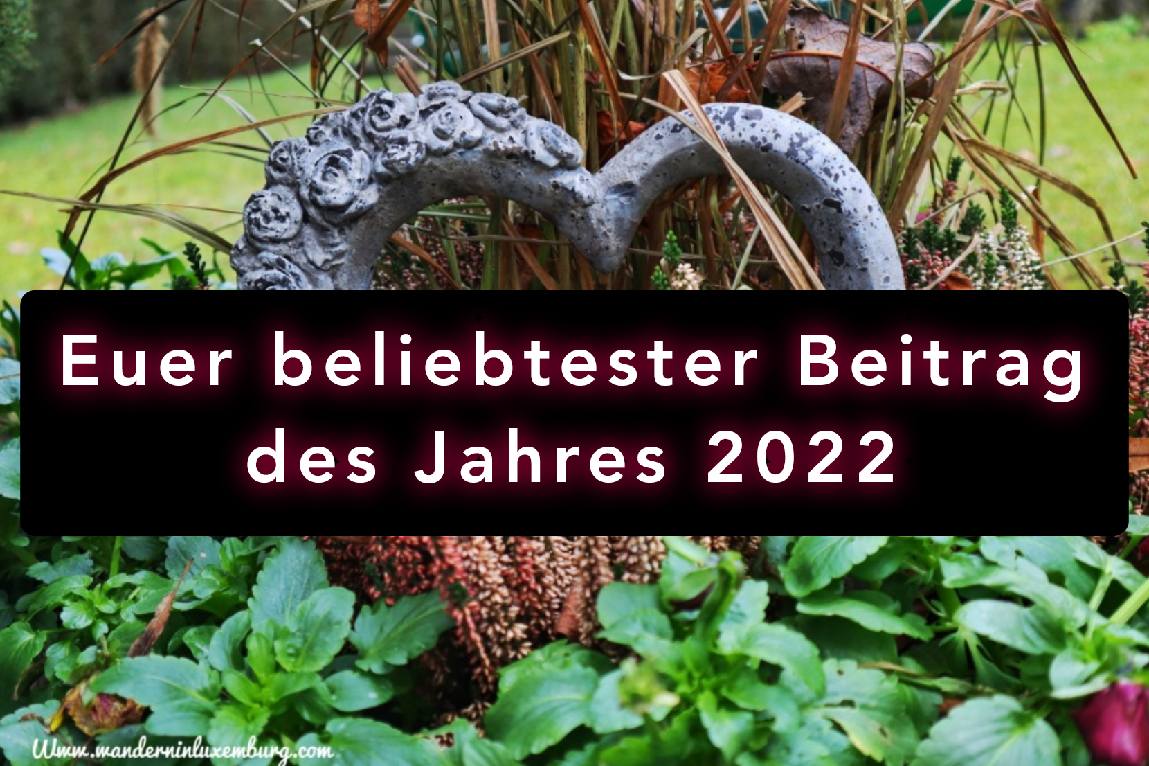 Mehr über den Artikel erfahren Euer beliebtester Beitrag des Jahres 2022