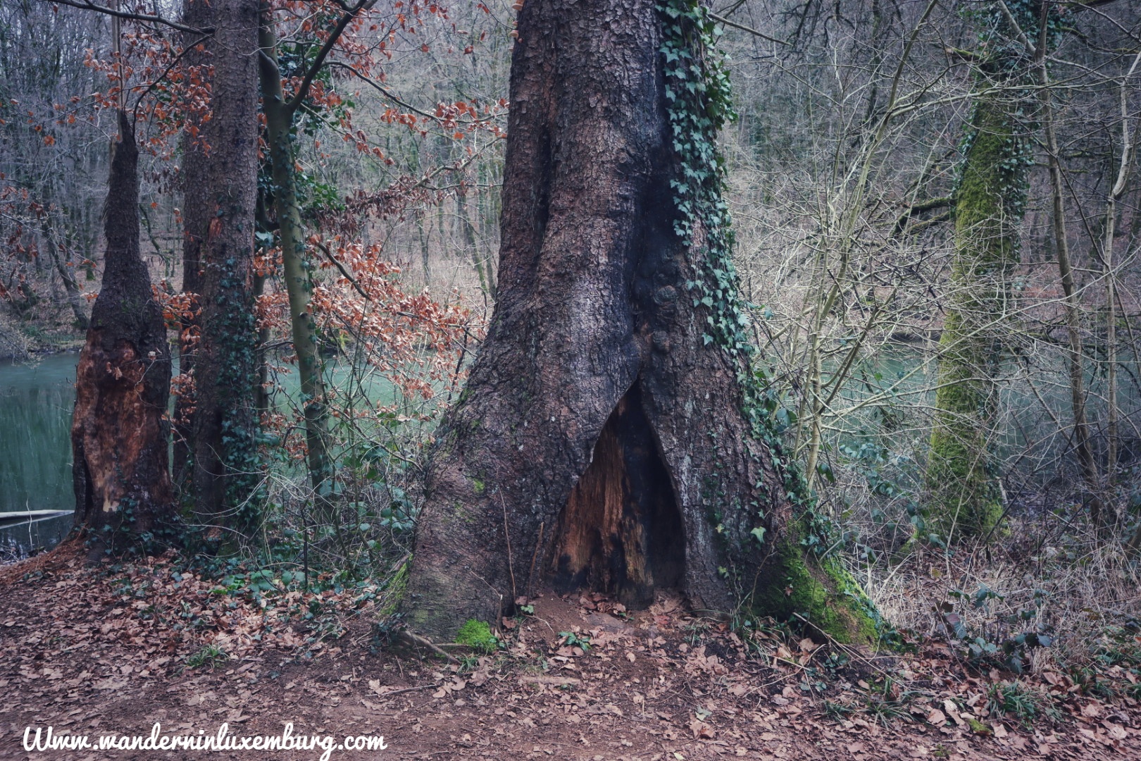 Mehr über den Artikel erfahren Esch-sur-Alzette – Lehrpfad Ellergronn – 3,5km