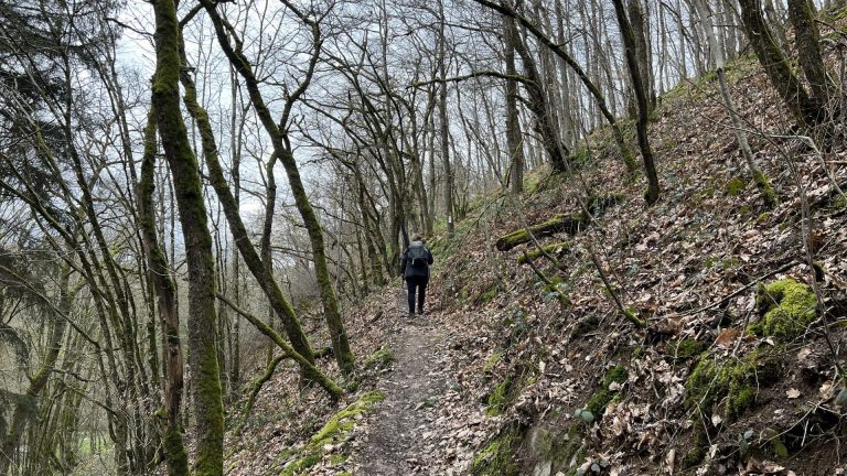 Mehr über den Artikel erfahren 9 Tage Challenge – Emotionen, Erfahrungen und Herausforderungen