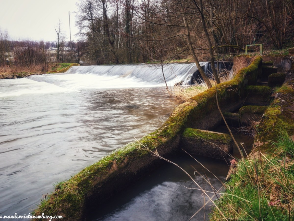 CFL 12 – Ettelbruck – Colmar-Berg – 16,3km