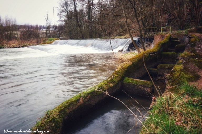 Mehr über den Artikel erfahren CFL 12 – Ettelbruck – Colmar-Berg – 16,3km