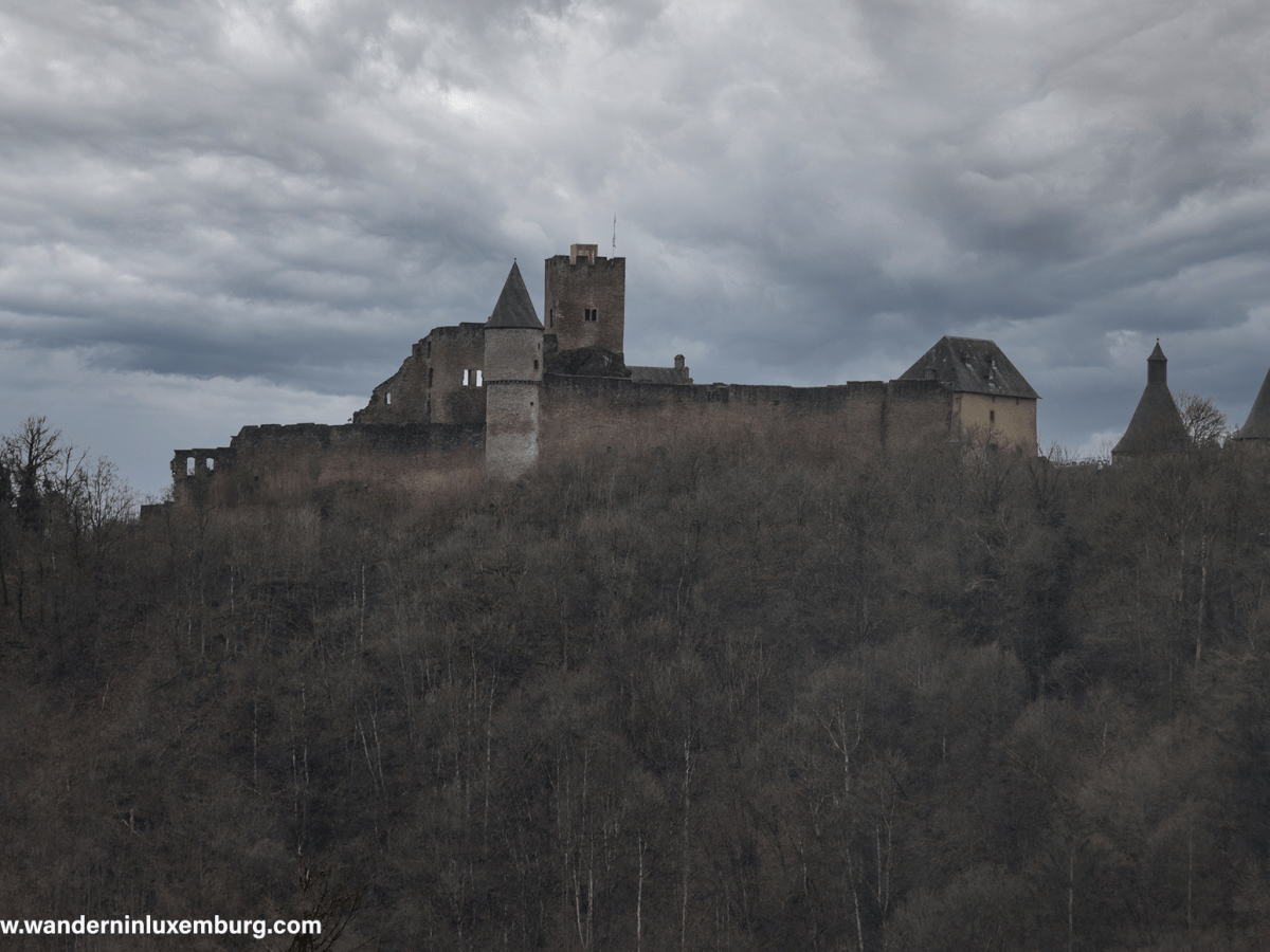 CFL 05+09 – Kautenbach – Goebelsmühle – Michelau – 13,59km