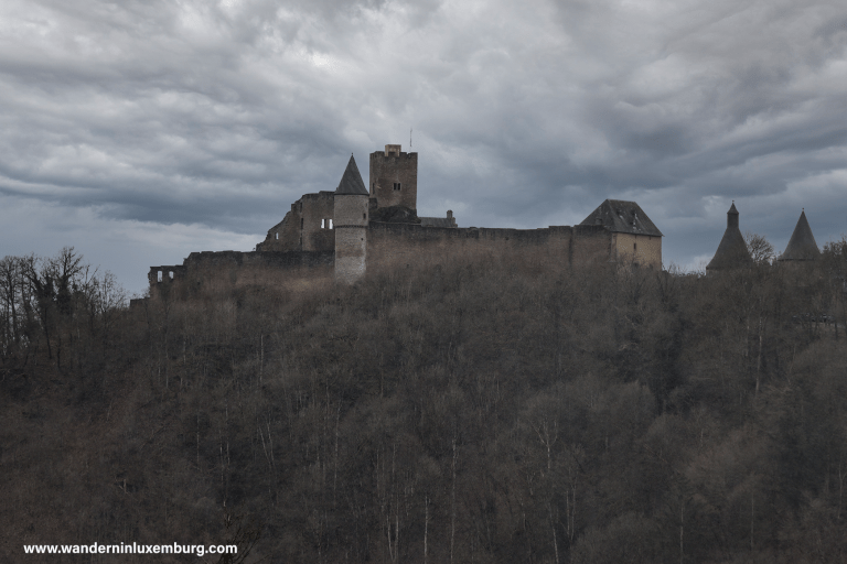 Mehr über den Artikel erfahren CFL 05+09 – Kautenbach – Goebelsmühle – Michelau – 13,59km