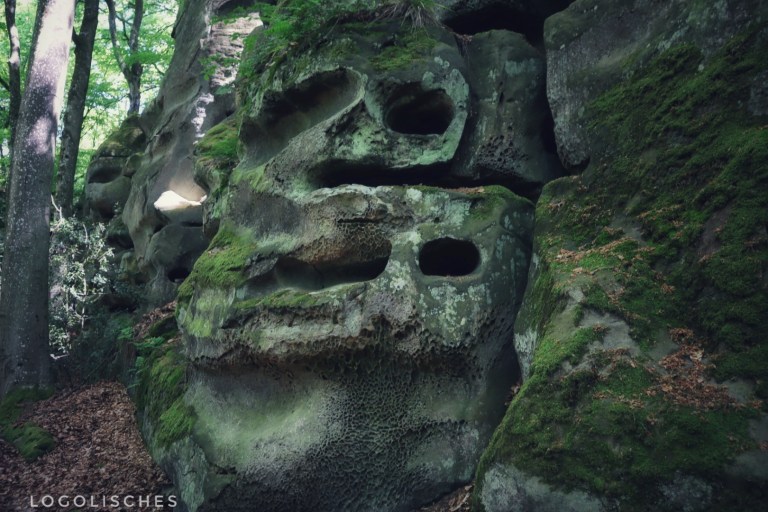 Mehr über den Artikel erfahren Consdorf – C6 – 6,7km