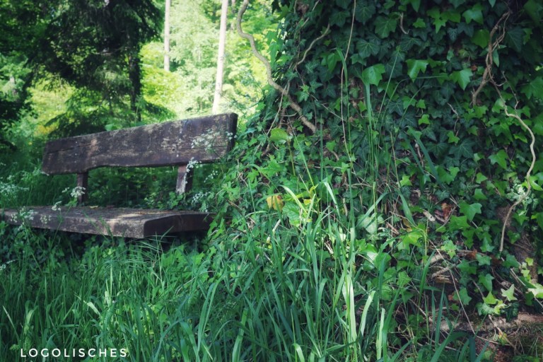 Mehr über den Artikel erfahren Godbrange – J16 – 6km