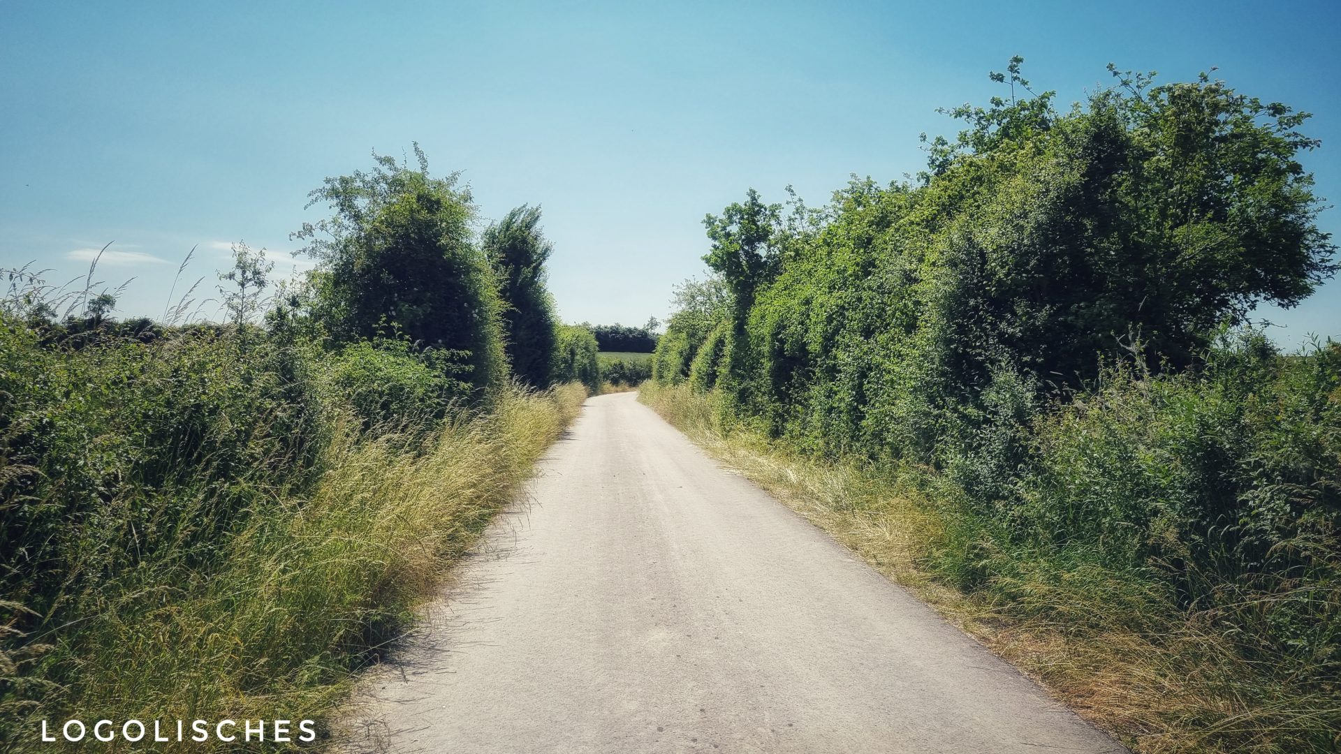 Mehr über den Artikel erfahren CFL 39 – Munsbach -Oetrange – 6km
